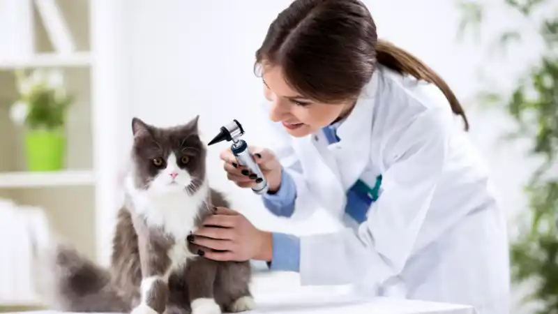 Prevenire gli imprevisti